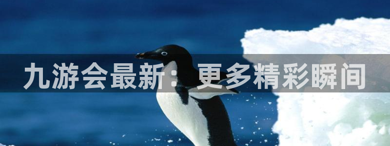 壹号大舞台娱乐app下载安装：九游会最新：更多精彩瞬间