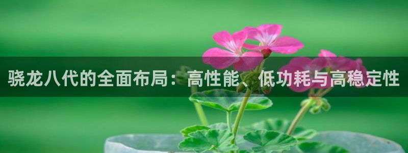 OB视讯app网页入口：骁龙八代的全面布局：高性能、低功耗与高稳定性