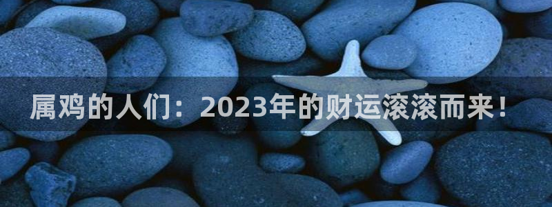 OB视讯下载官网入口在哪：属鸡的人们：2023年的财运滚滚而来！