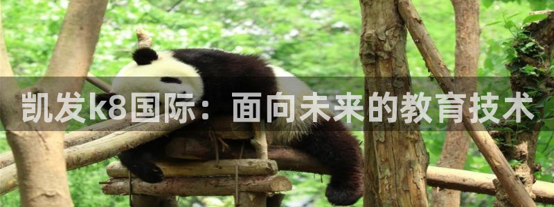 壹号大舞台：凯发k8国际：面向未来的教育技术