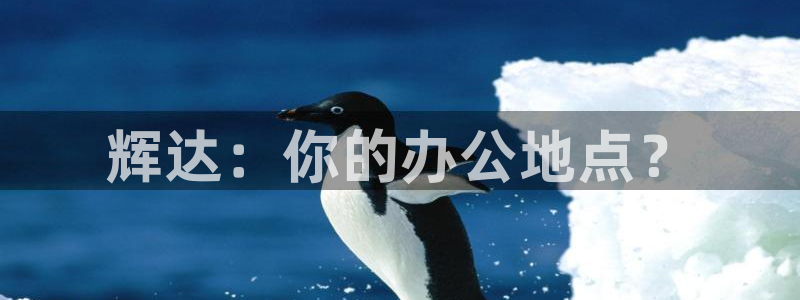 OB视讯网页版登：辉达：你的办公地点？