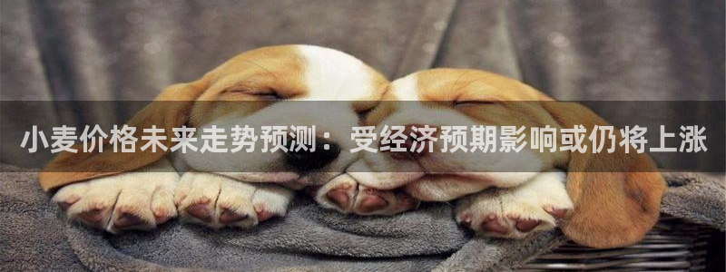 OB视讯(com.youad.authst)：小麦价格未来走势预测：受经济预期影响或仍将上涨