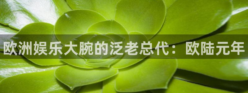 壹号平台下载：欧洲娱乐大腕的泛老总代：欧陆元年