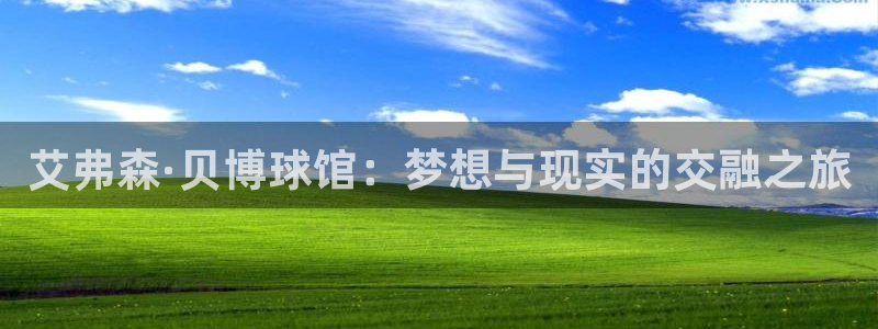 OB视讯游戏官网平台：艾弗森·贝博球馆：梦想与现实的交融之旅