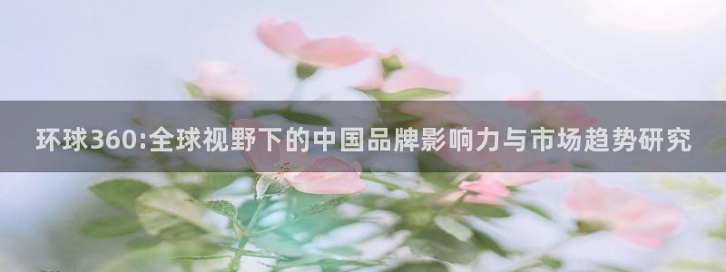 壹号大舞台网站：环球360:全球视野下的中国品牌影响力与市场趋势研究