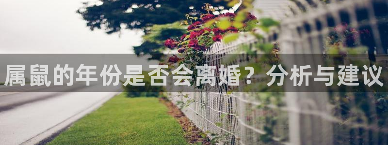 OB视讯app：属鼠的年份是否会离婚？分析与建议