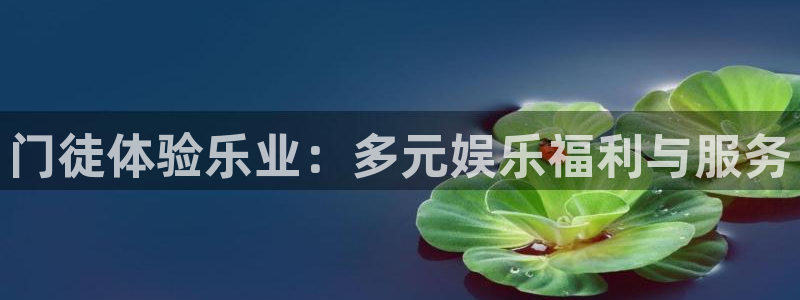 OB视讯电子娱乐官网下载：门徒体验乐业：多元娱乐福利与服务