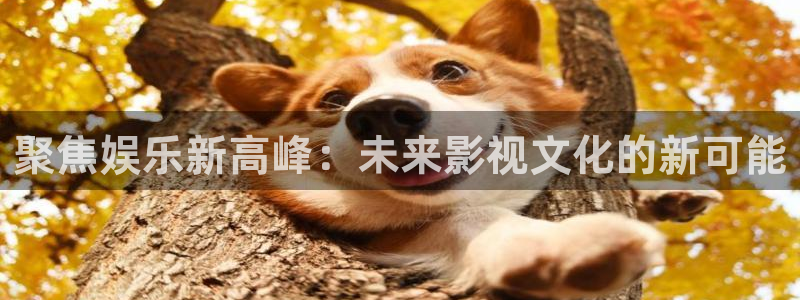 壹号电子娱乐app下载最新版本安装：聚焦娱乐新高峰：未来影视文化的新可能