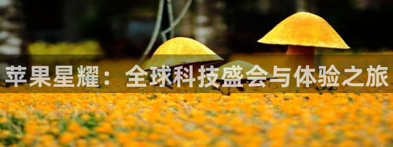 OB视讯,apk.1：苹果星耀：全球科技盛会与体验之旅