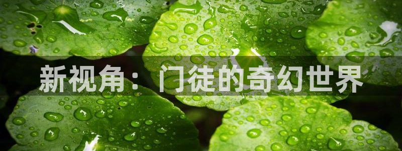 OB视讯app官网下载：新视角：门徒的奇幻世界