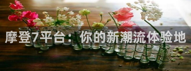 OB视讯com：摩登7平台：你的新潮流体验地