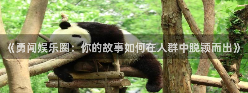 OB视讯退款怎么退：《勇闯娱乐圈：你的故事如何在人群中脱颖而出》