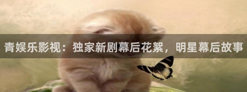OB视讯app最新版：青娱乐影视：独家新剧幕后花絮，明星幕后故事