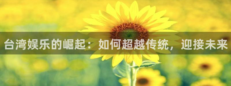 壹号大舞台：台湾娱乐的崛起：如何超越传统，迎接未来