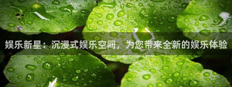OB视讯官网版下载链接：娱乐新星：沉浸式娱乐空间，为您带来全新的娱乐体验