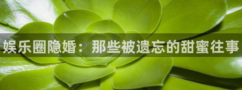 OB视讯app网页入口：娱乐圈隐婚：那些被遗忘的甜蜜往事