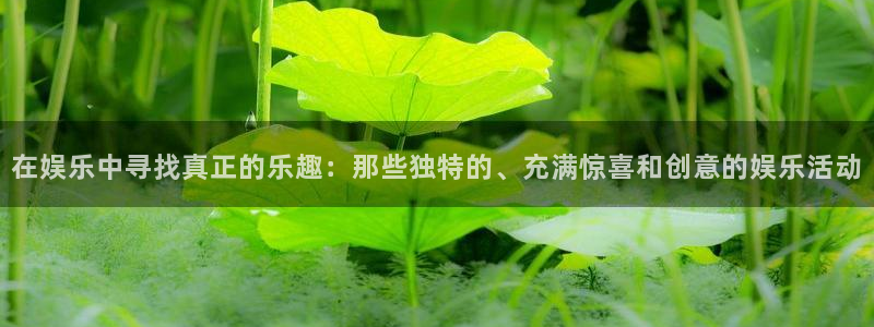 OB视讯可靠吗：在娱乐中寻找真正的乐趣：那些独特的、充满惊喜和创意的娱乐活动