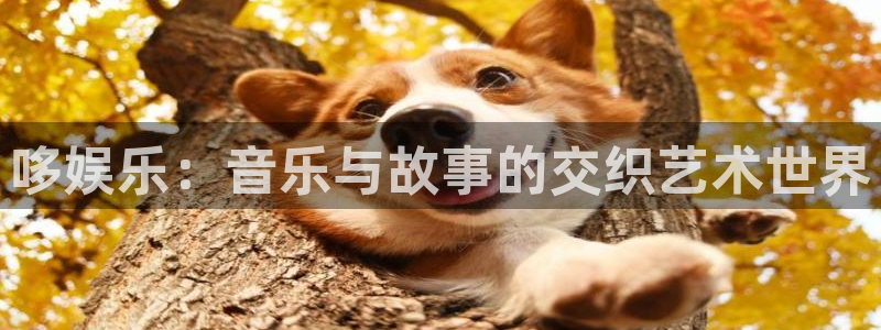 OB视讯平台app下载安装：哆娱乐：音乐与故事的交织艺术世界