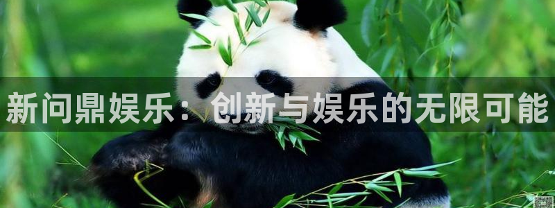 OB视讯可靠吗：新问鼎娱乐：创新与娱乐的无限可能