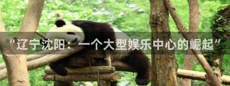 壹号官方app下载安装：“辽宁沈阳：一个大型娱乐中心的崛起”