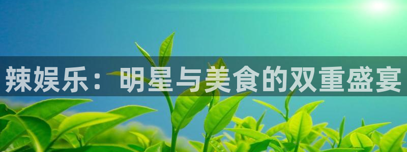 壹号电子娱乐app下载最新版本安装：辣娱乐：明星与美食的双重盛宴