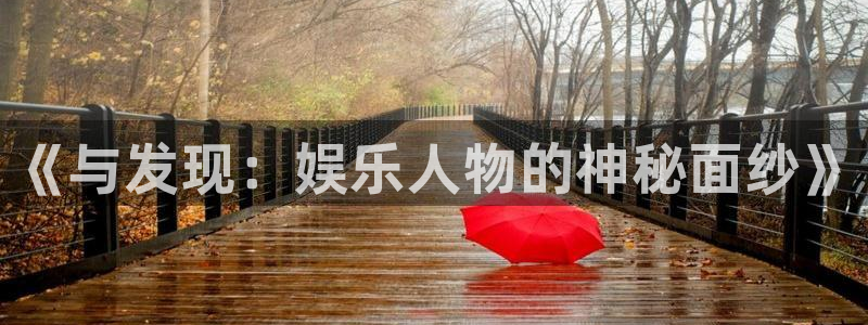壹号app下载官网娱乐：《与发现：娱乐人物的神秘面纱》