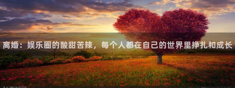 壹号app下载官网娱乐：离婚：娱乐圈的酸甜苦辣，每个人都在自己的世界里挣扎和成长