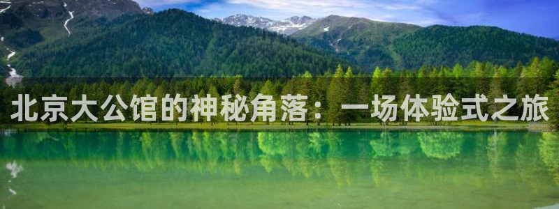 pgOB视讯平台下载入口：北京大公馆的神秘角落：一场体验式之旅